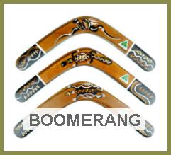 Learn To Throw A Boomerang