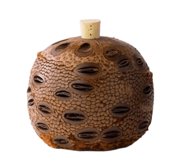 Aroma Pod Mini Banksia