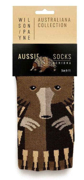 Socks Echidna