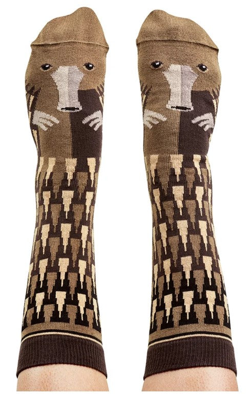 Socks Echidna