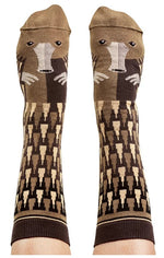 Socks Echidna