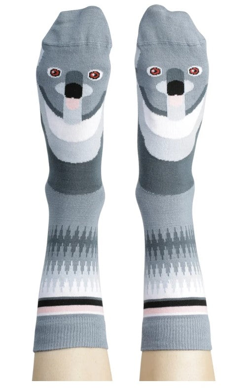 Socks Koala