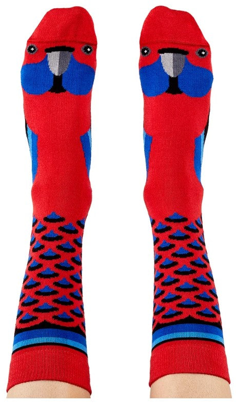Socks Crimson Rosella