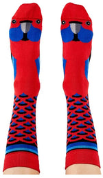 Socks Crimson Rosella