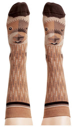 Socks Wombat