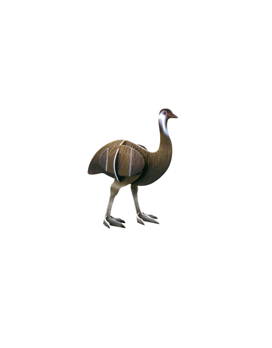 Doodads Emu 3D Postcard