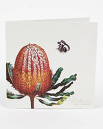 Boxed Cards Bush Gems Collection