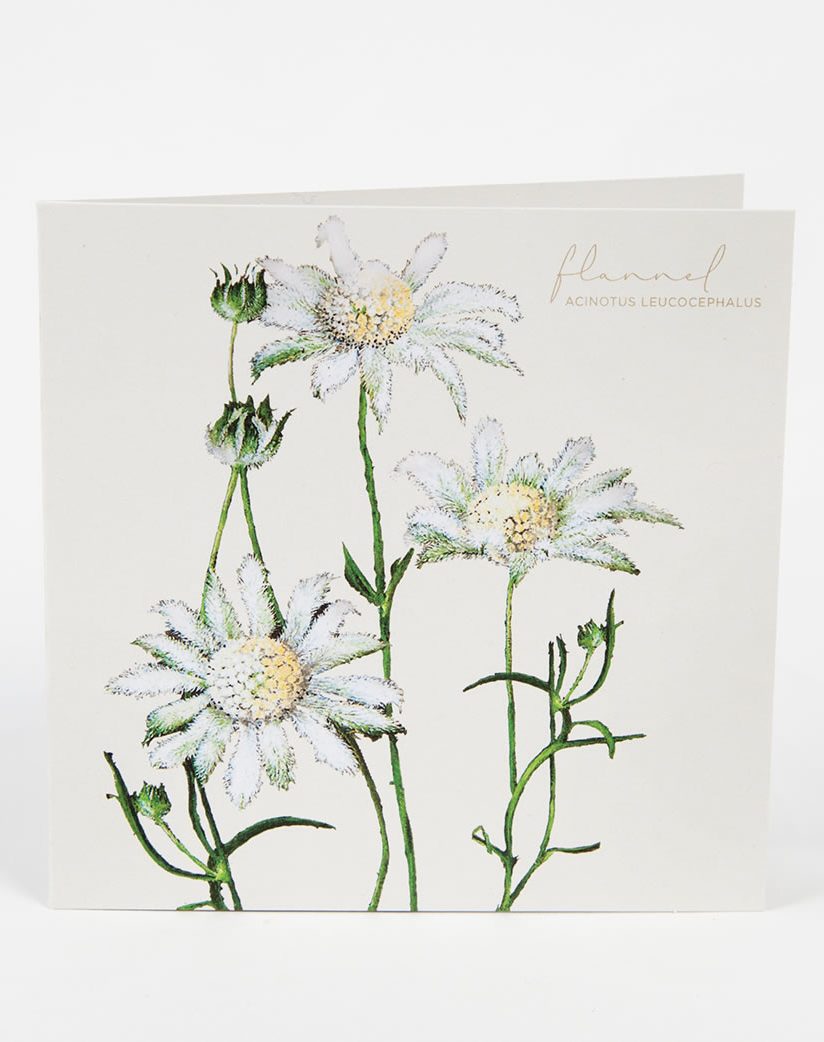 Boxed Cards Bush Gems Collection