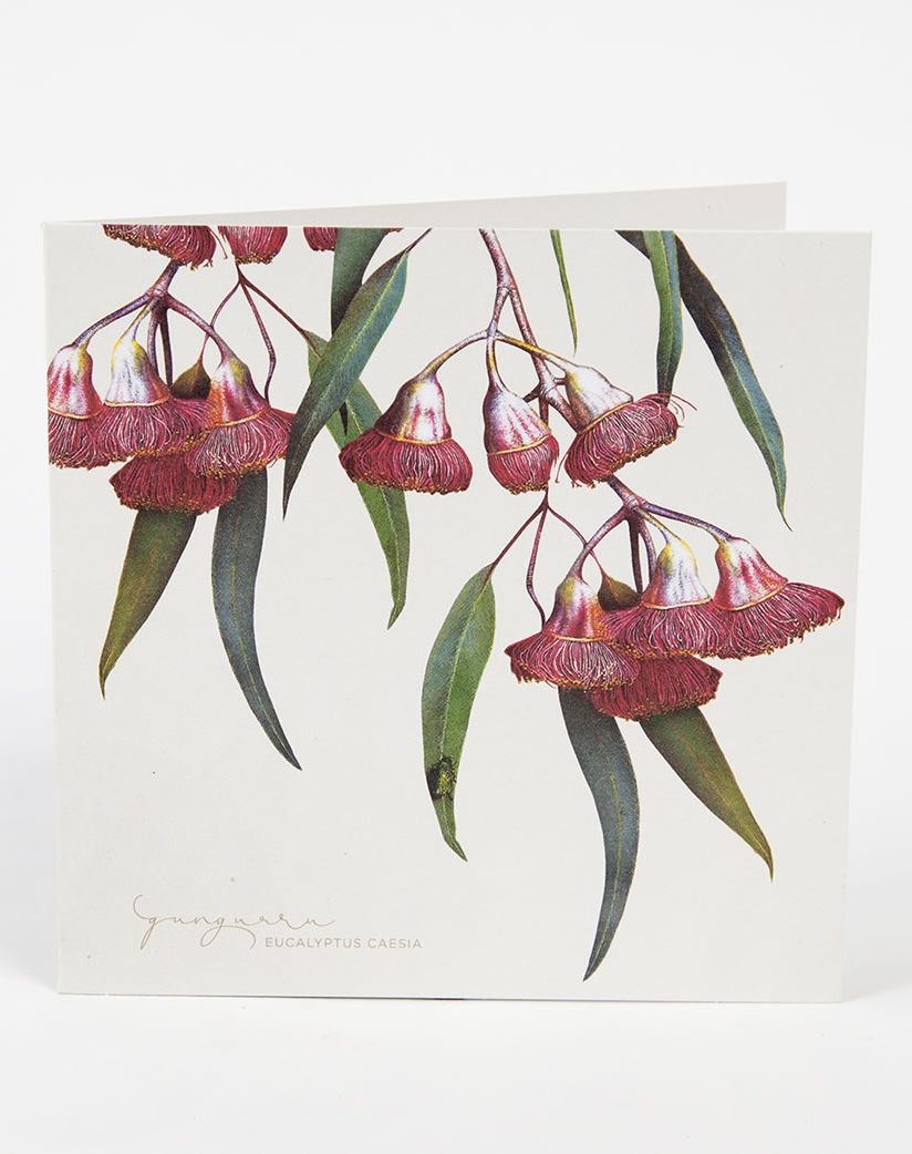 Boxed Cards Bush Gems Collection