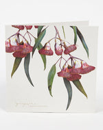 Boxed Cards Bush Gems Collection