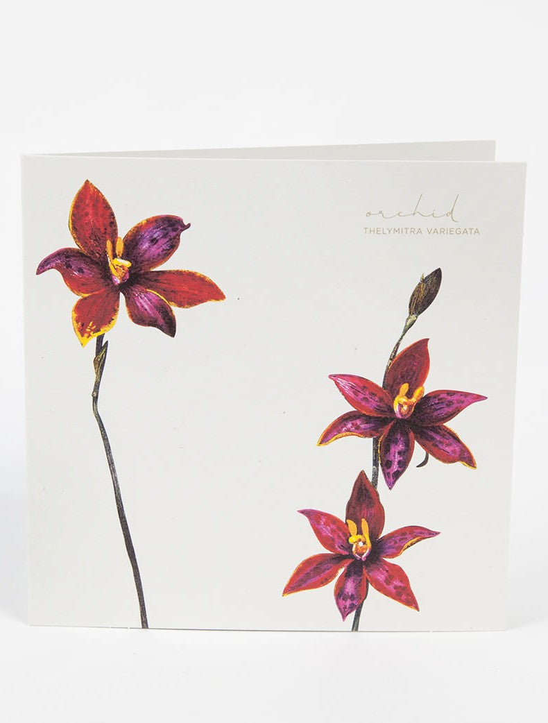 Boxed Cards Bush Gems Collection