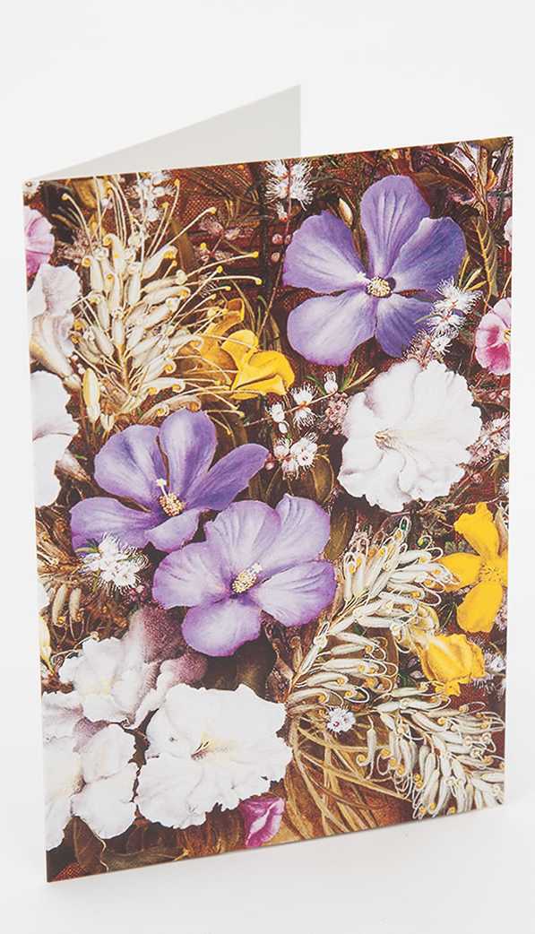 Boxed Cards Wildflowers Collection