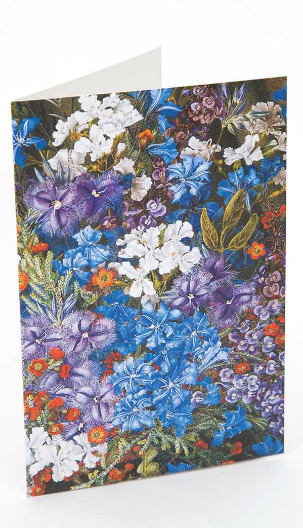Boxed Cards Wildflowers Collection