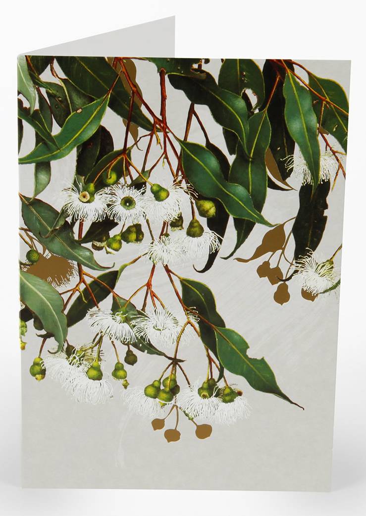 Card Marri Gum