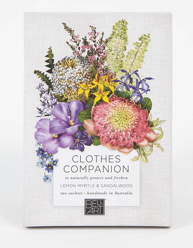 Clothes Companion