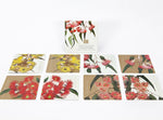 Coasters Eucalypts