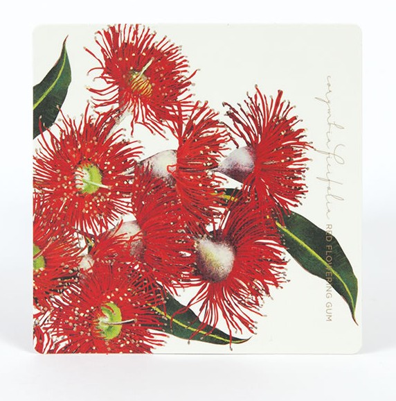 Coasters Eucalypts