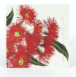 Coasters Eucalypts