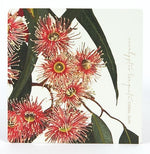 Coasters Eucalypts