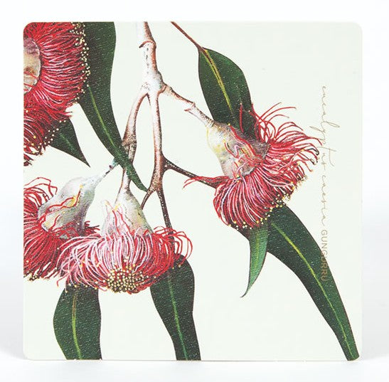 Coasters Eucalypts