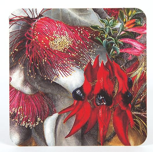 Coasters Wildflowers