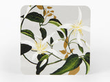 Coasters White Collection