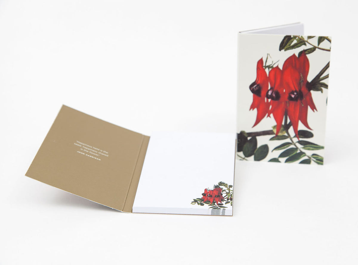Notepad Sturt Pea