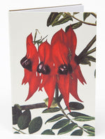 Notepad Sturt Pea