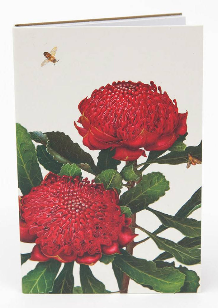 Notepad Waratah