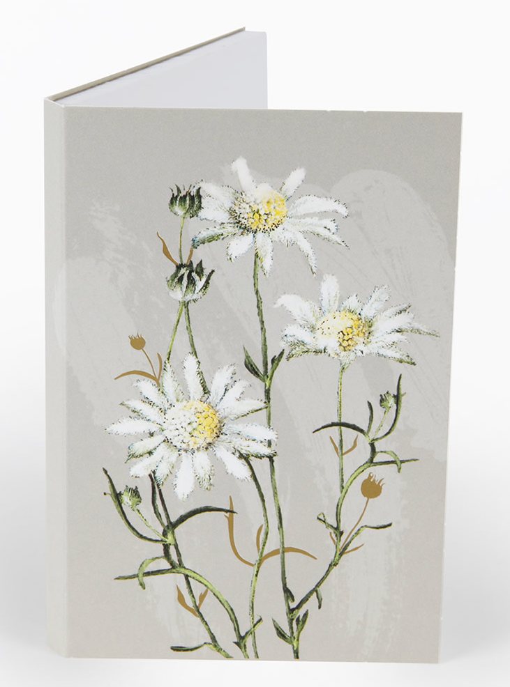 Notepad Flannel Flower