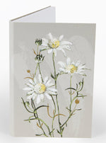 Notepad Flannel Flower
