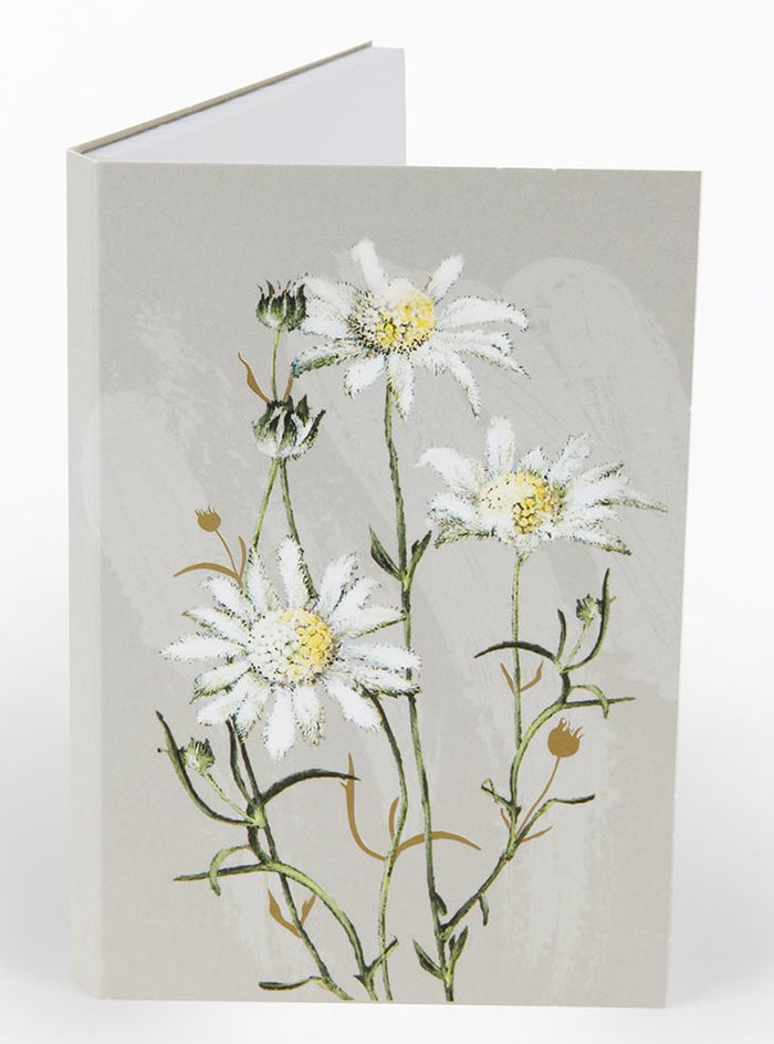 Notepad Flannel Flower