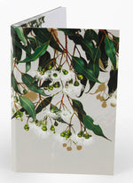 Notepad Marri Gum