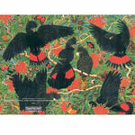 Card Red-Tailed Black Cockatoos