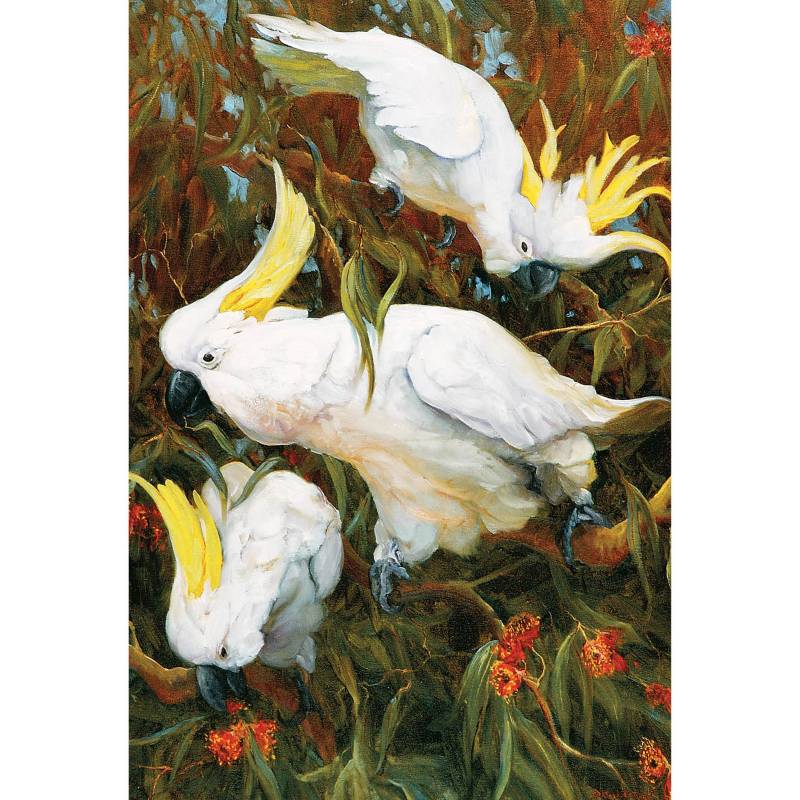 Card Dining Out Cockatoos
