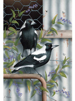 Card Magpies