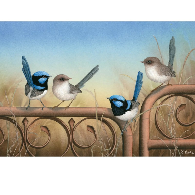 Card Blue Wrens (on metal gate)
