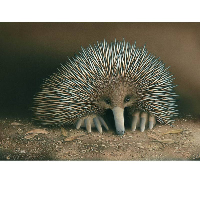 Card Echidna