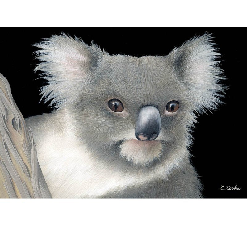 Card Koala