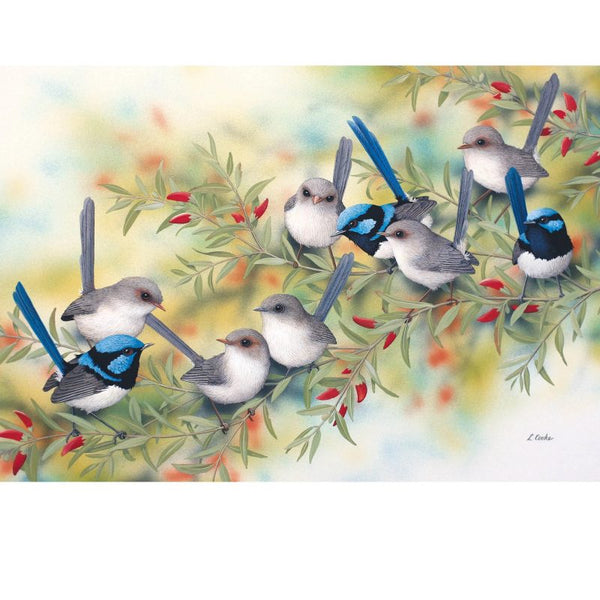 Card Blue Wrens on Swan River Pea