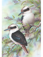 Card Kookaburra on Hardenbergia