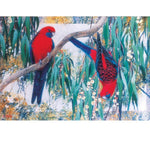 Card Crimson Rosellas and Gum Blossom