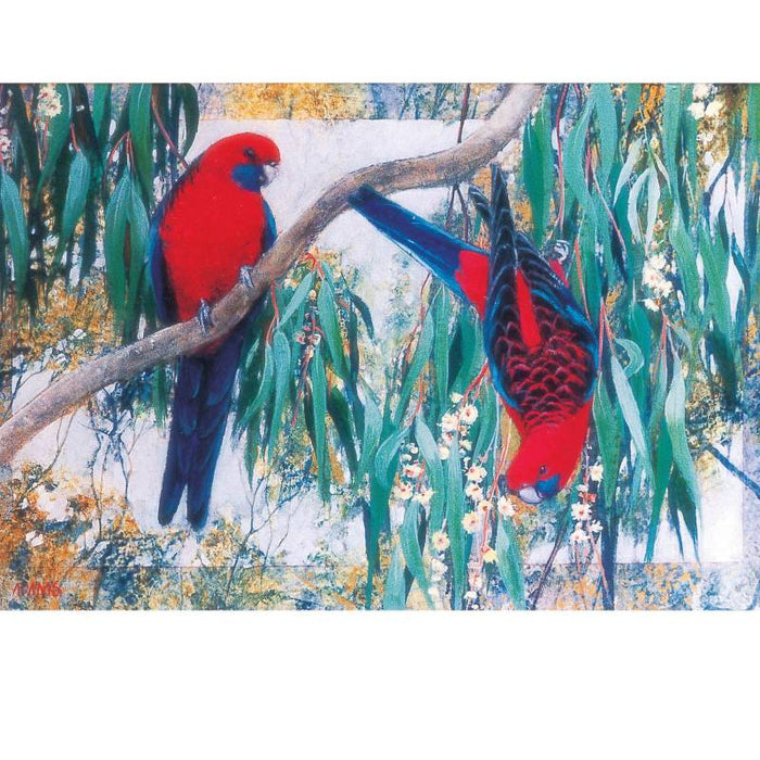 Card Crimson Rosellas and Gum Blossom