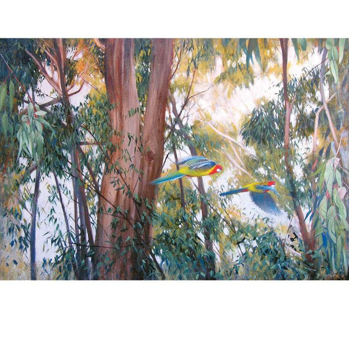 Card Eastern Rosellas Adams