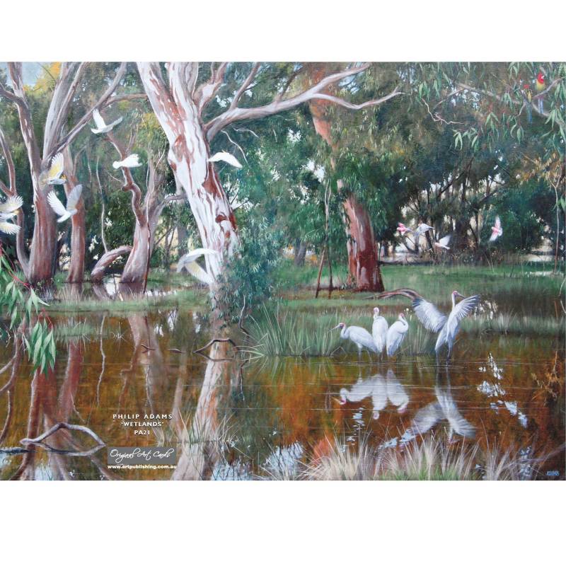Card Wetlands