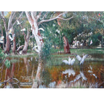 Card Wetlands
