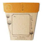 Seed Gift Billy Button