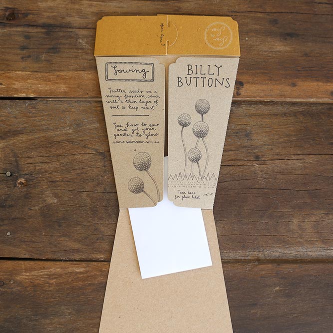 Seed Gift Billy Button