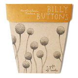 Seed Gift Billy Button
