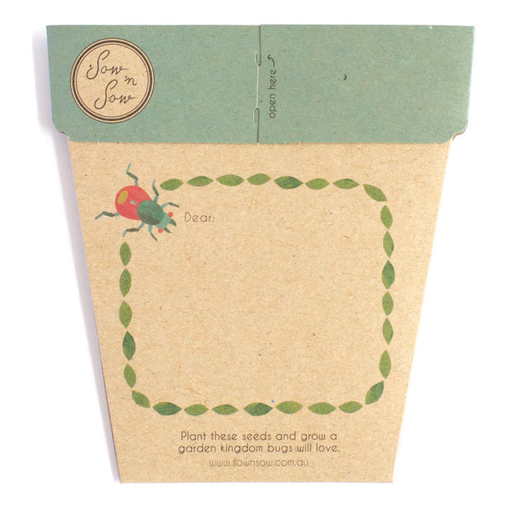 Seed Gift Bug Wonderland